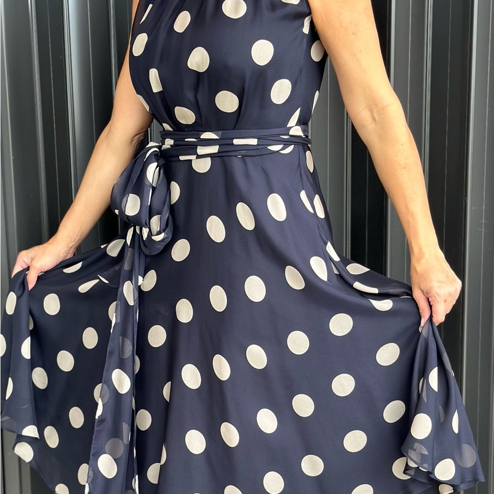 Carolina Herera Navy Polk dot gorgeous dress